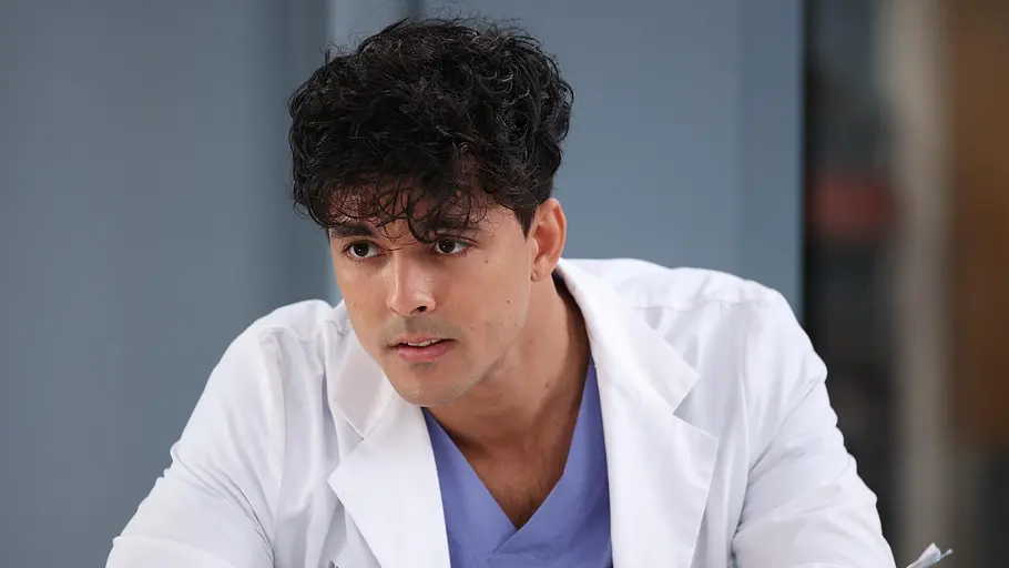 Greys Anatomy - Die jungen Ärzte greys anatomy - die jungen ärzte