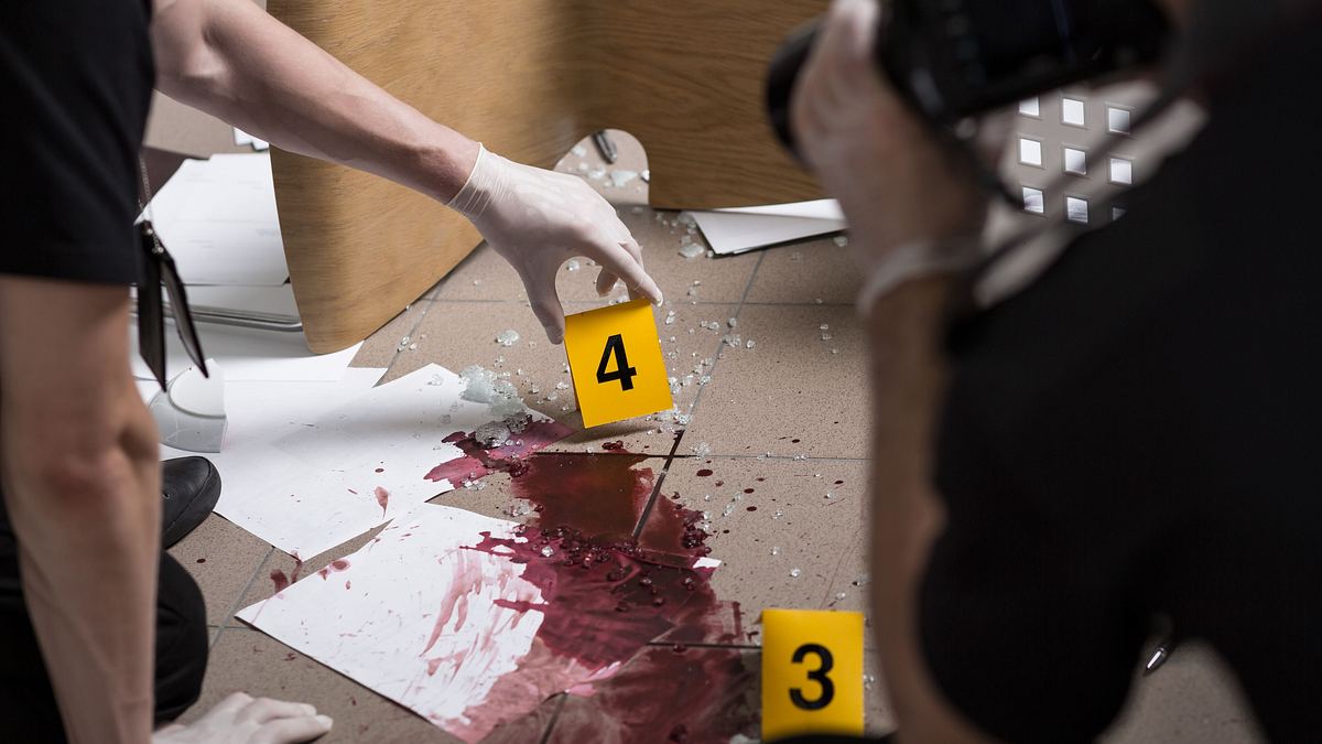 24 stunden bis zum mord