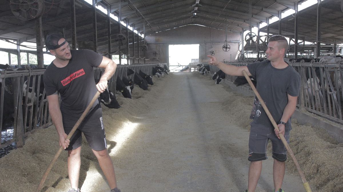unsere verrückte italienische farm