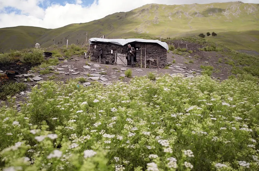 Der alte Arzt und sein Pferd - Über den Wolken Georgiens der alte arzt und sein pferd - über den wolken georgiens