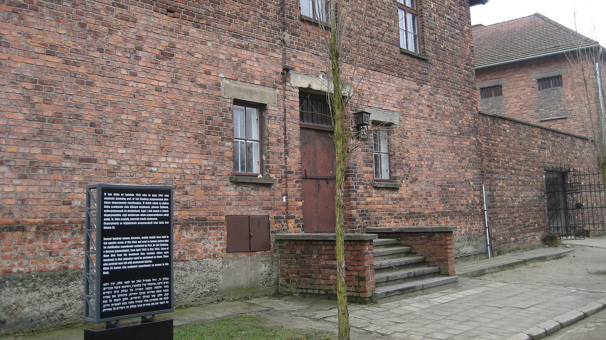 medizinversuche in auschwitz - clauberg und die frauen von block 10