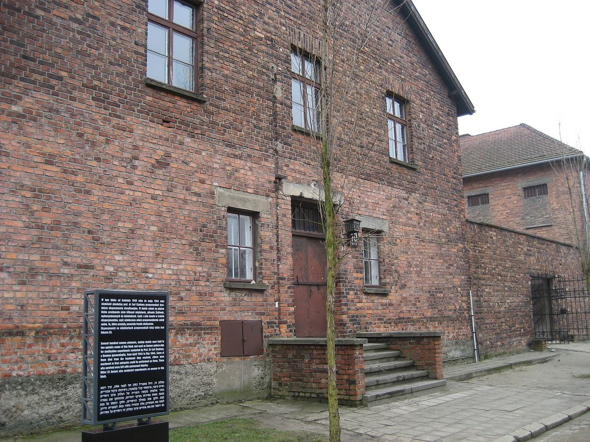 Medizinversuche in Auschwitz - Clauberg und die Frauen von Block 10 medizinversuche in auschwitz - clauberg und die frauen von block 10