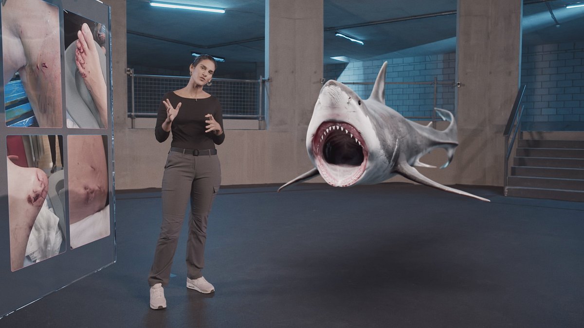 hai-attacken 360°