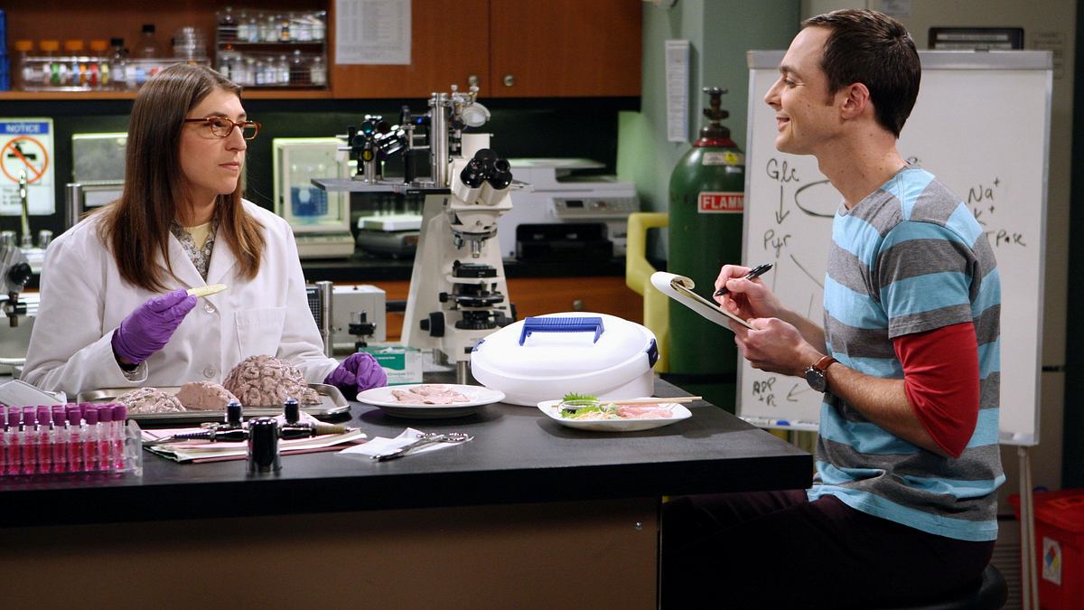 the big bang theory