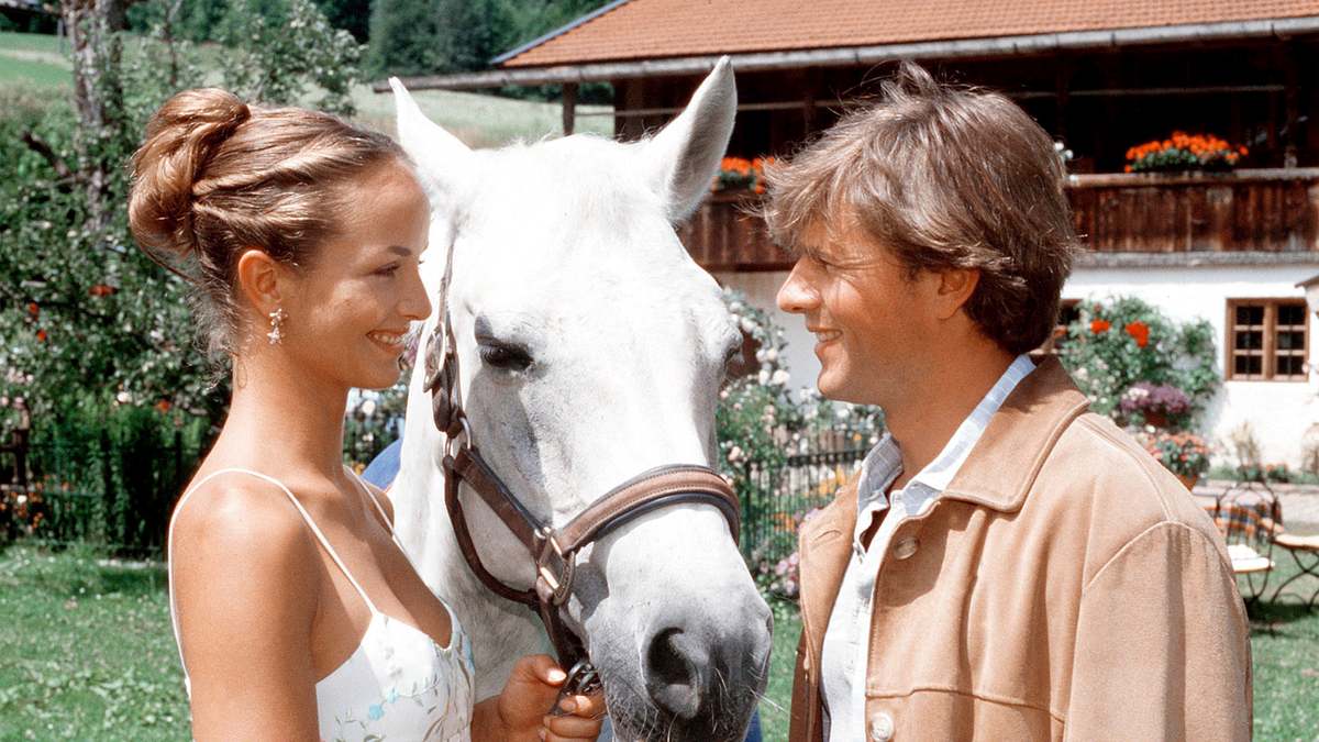utta danella: die hochzeit auf dem lande