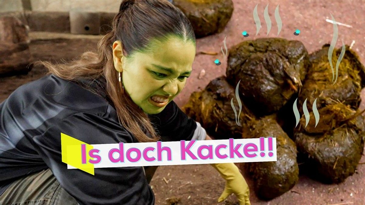 kika live