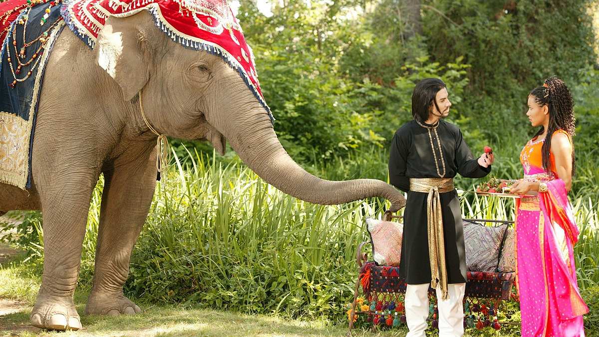 Elephant Princess Elephant Princess