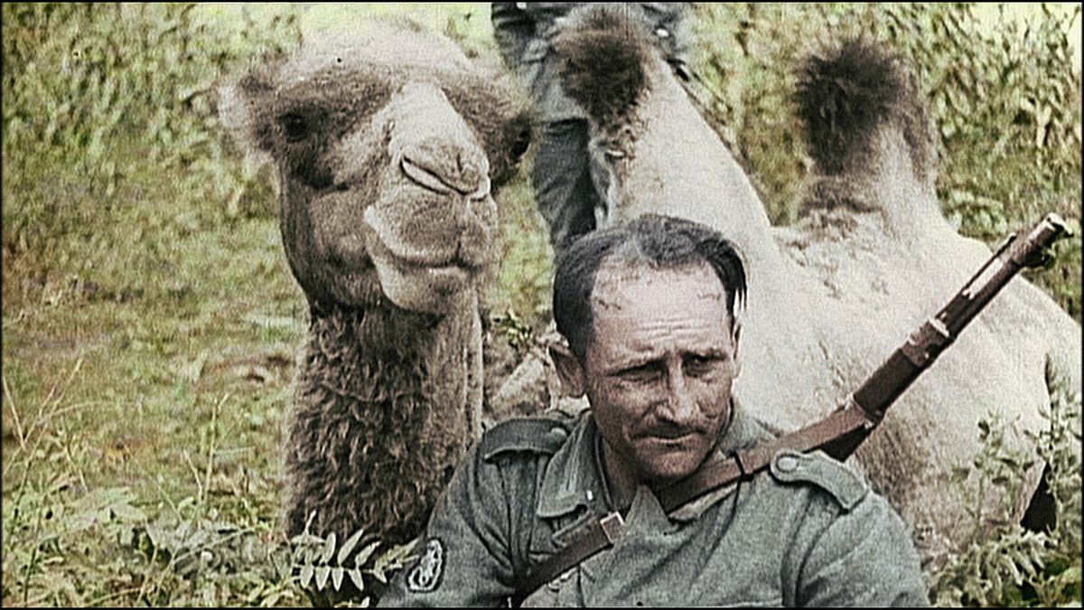 der krieg - menschen im 2. weltkrieg