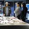 CSI: Vegas Thumbnail