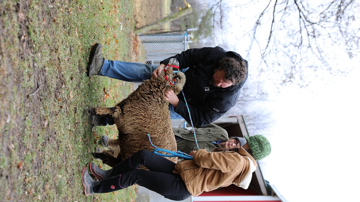 die unglaubliche pol-farm