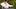 Video Platzhalter Video Platzhalter