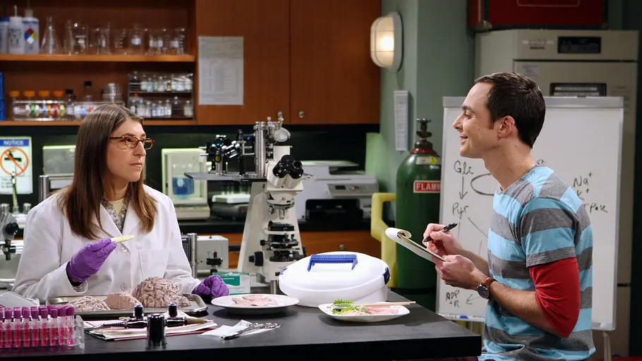 the big bang theory