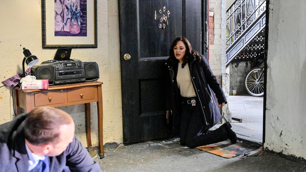 blue bloods - crime scene new york
