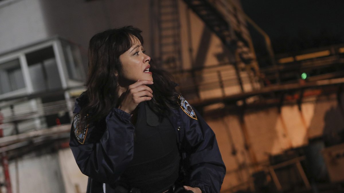 blue bloods - crime scene new york