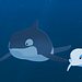 Zoom - Der weiße Delfin Thumbnail