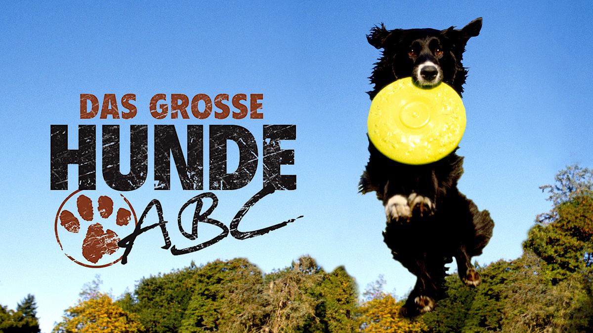 das große hunde-abc