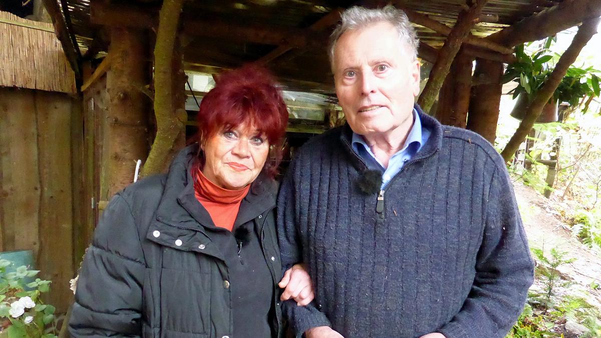 der trödeltrupp - das geld liegt im keller