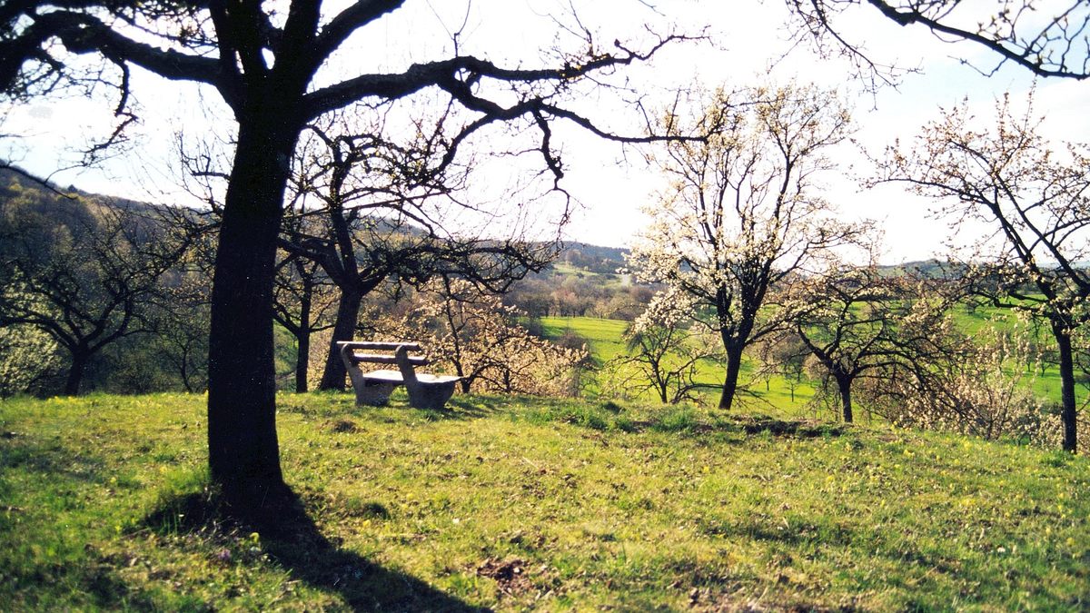 streuobstwiese: alte sorten - neue wege