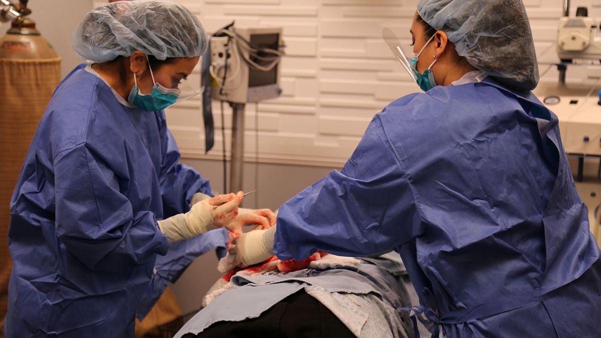 dr. pimple popper
