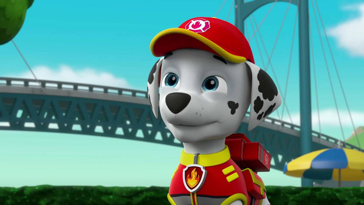 paw patrol - helfer auf vier pfoten
