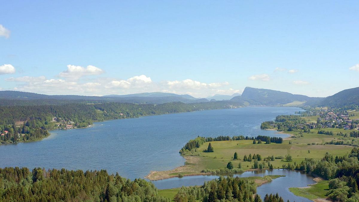 wilde schweiz
