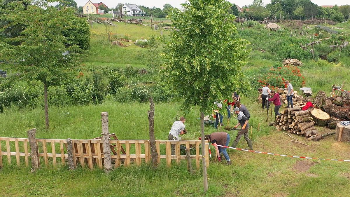 alpha-thema: projekt garten