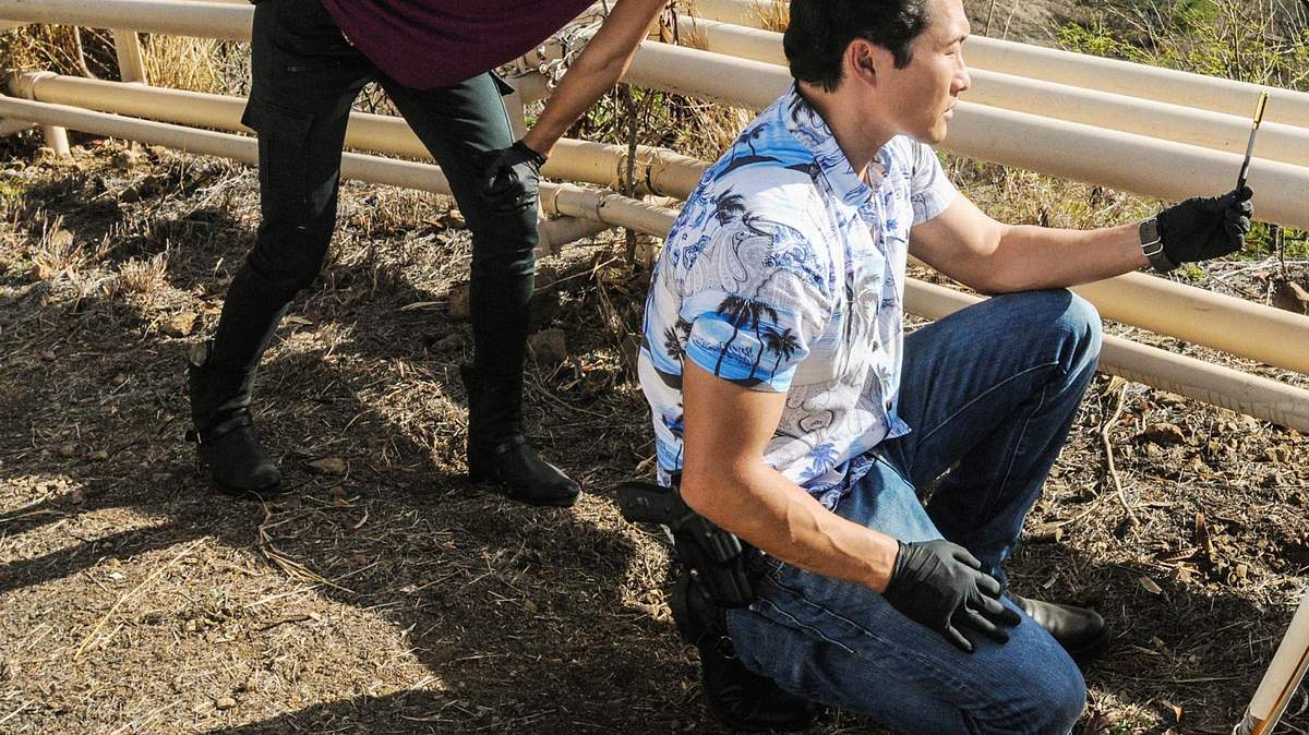 hawaii five-0