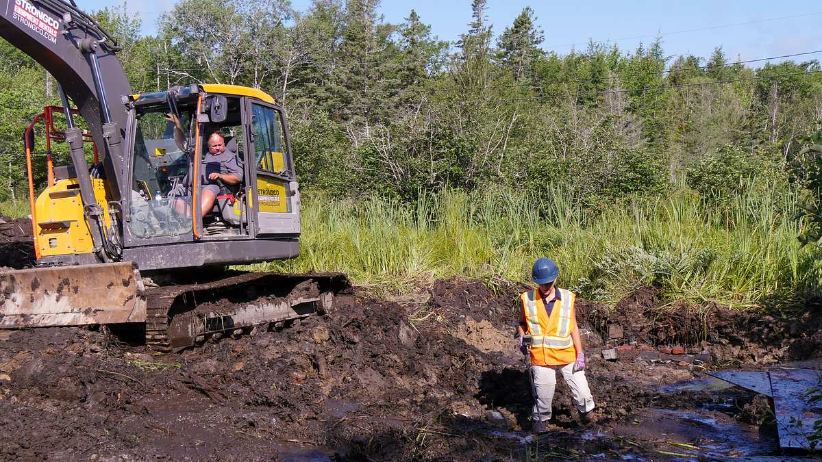 oak island - fluch und legende