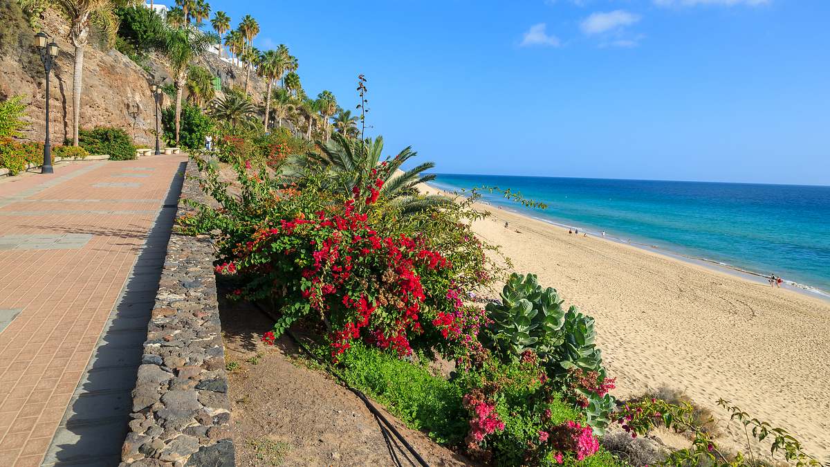 fuerteventura - die goldene schöne der kanaren
