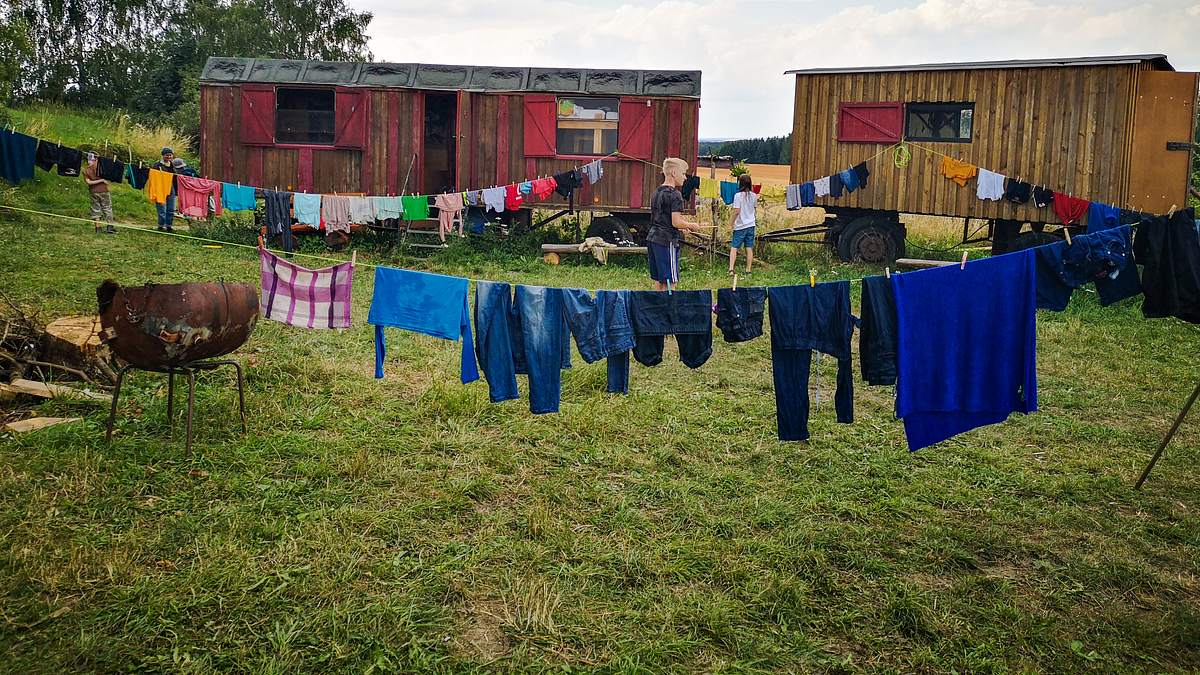 sommercamp - back to the roots