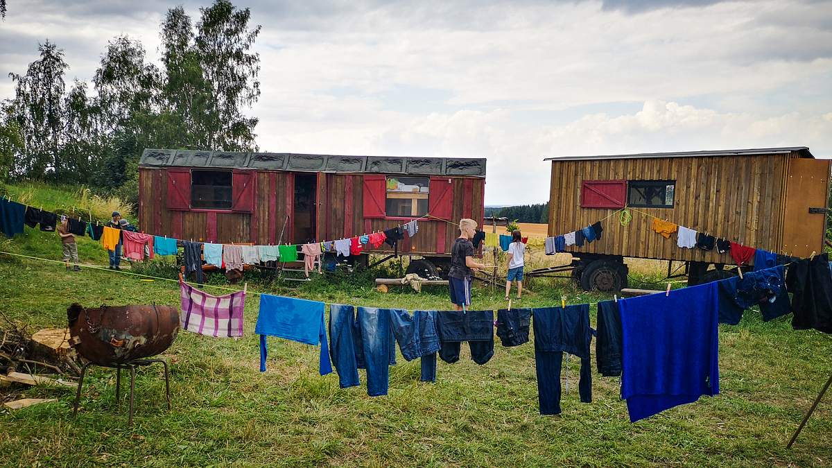 sommercamp - back to the roots