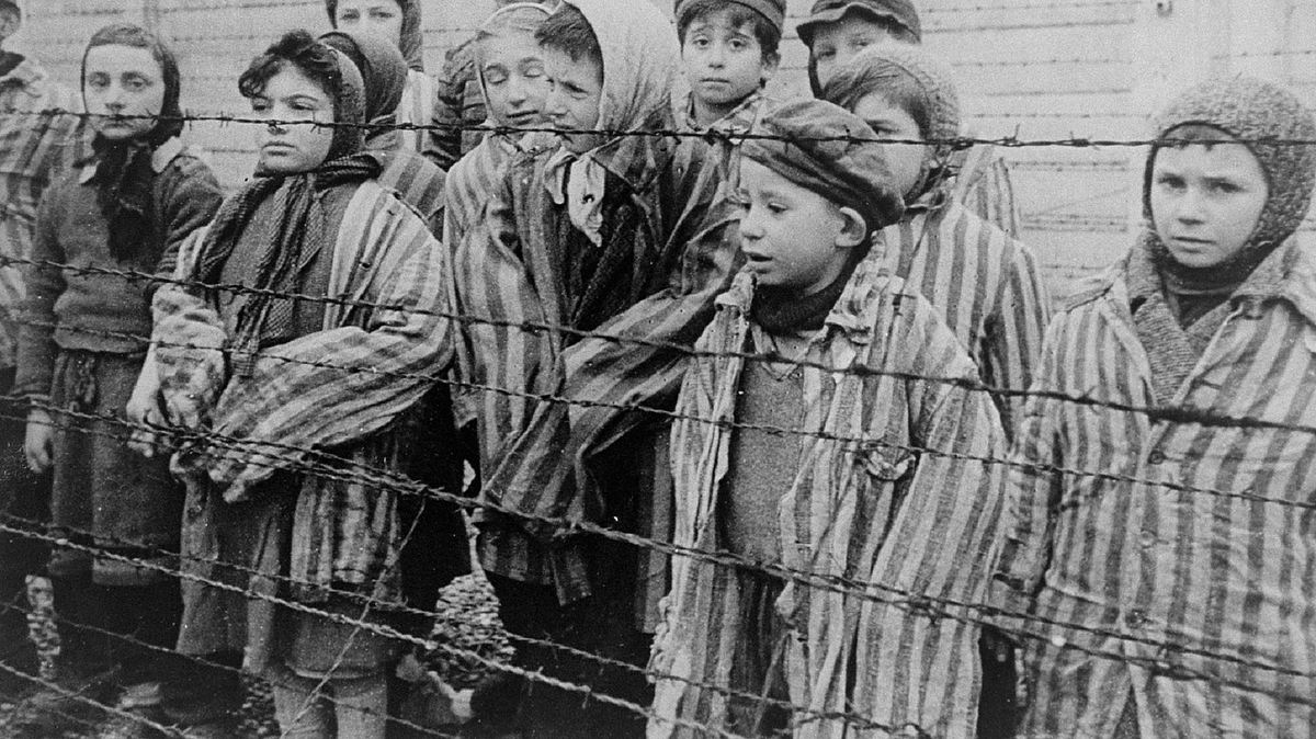 auschwitz - überleben in der hölle