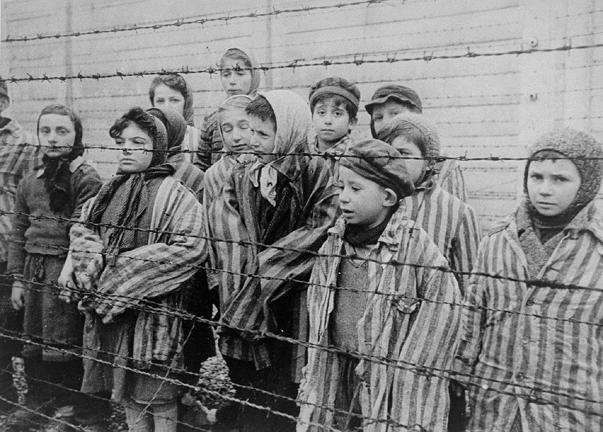 Auschwitz - Überleben in der Hölle auschwitz - überleben in der hölle