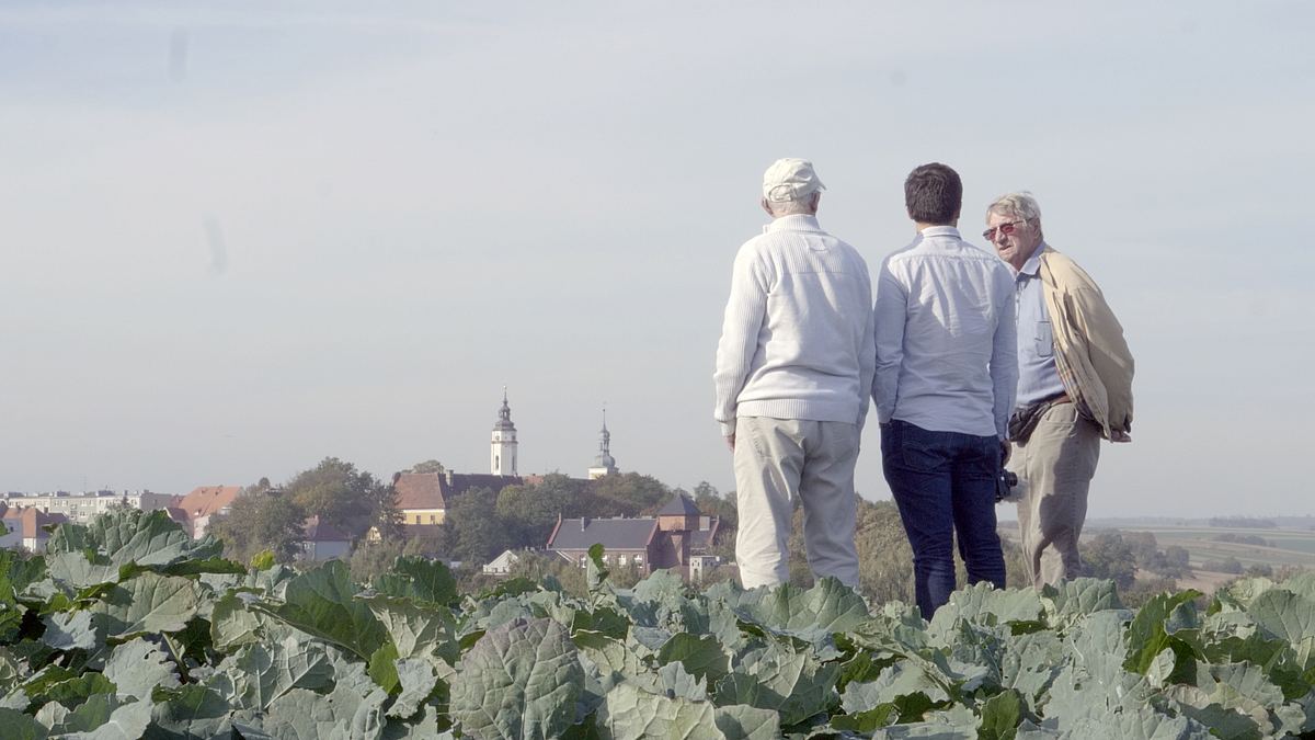 dox - der dokumentarfilm im br