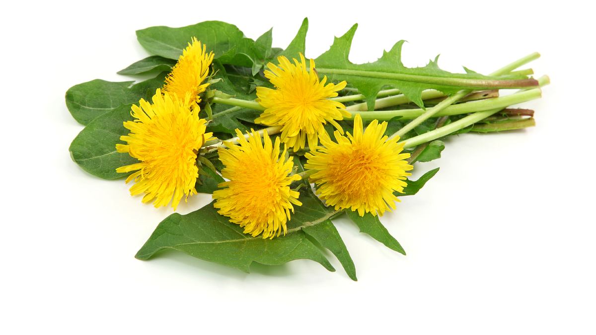 aktiv und gesund