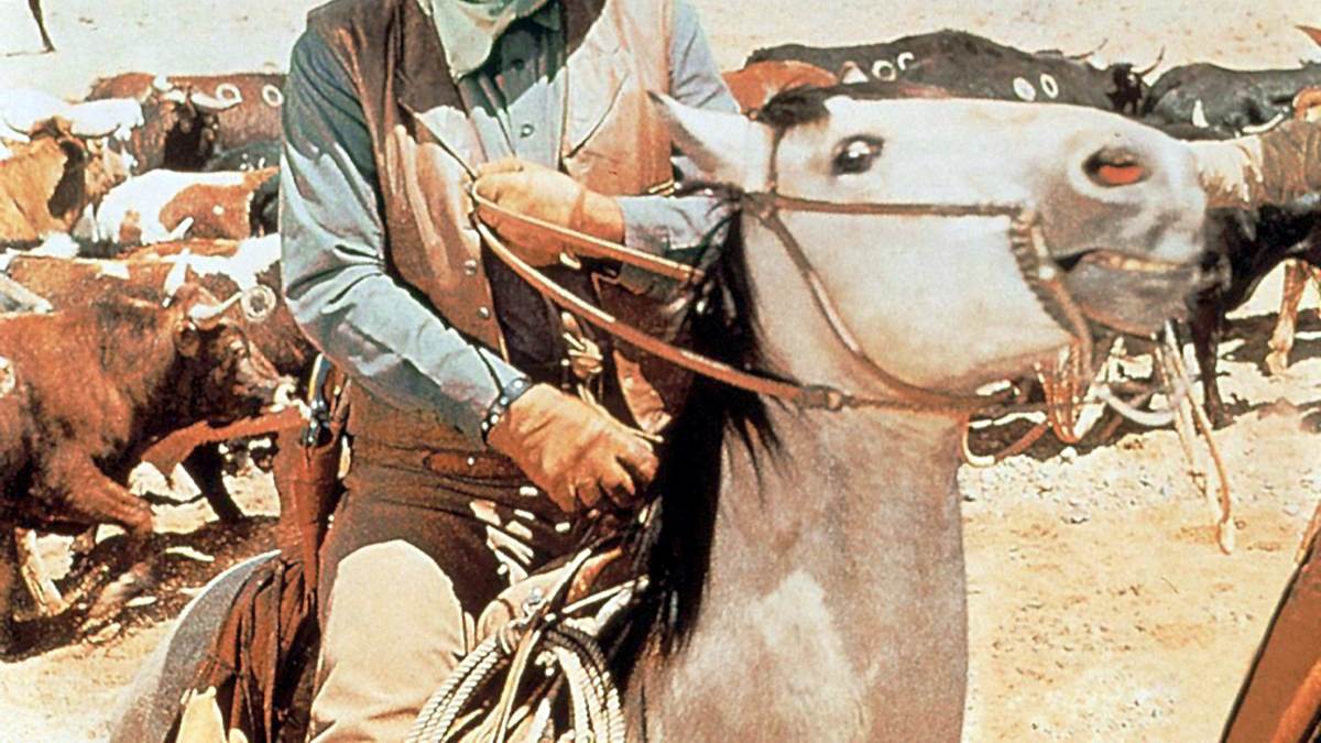 die cowboys
