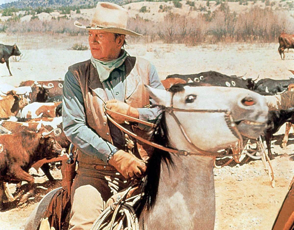Die Cowboys die cowboys