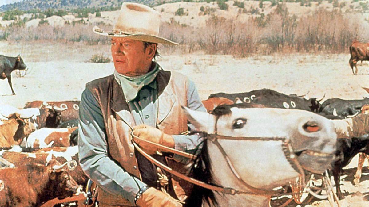 die cowboys