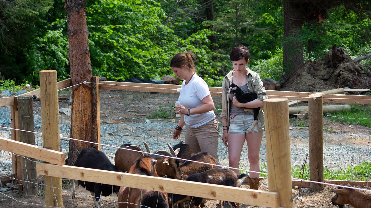 alaskan bush people