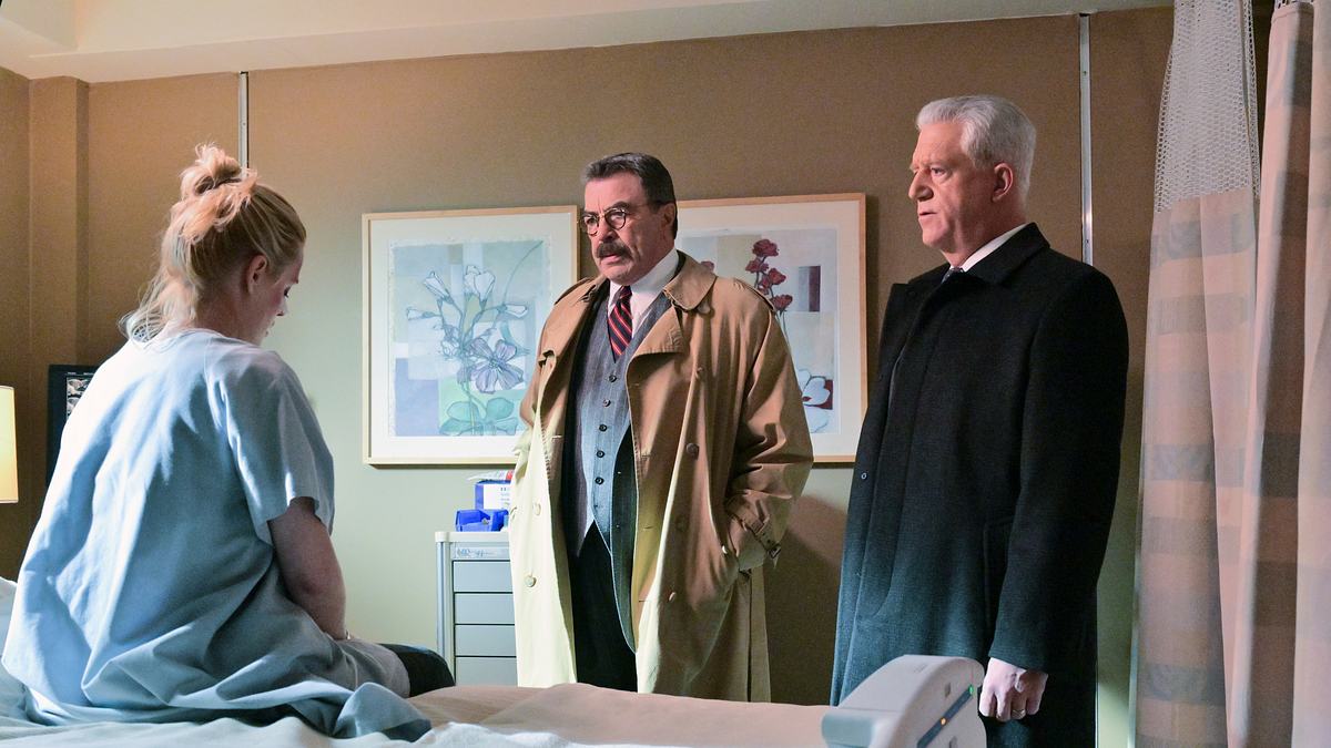 blue bloods - crime scene new york
