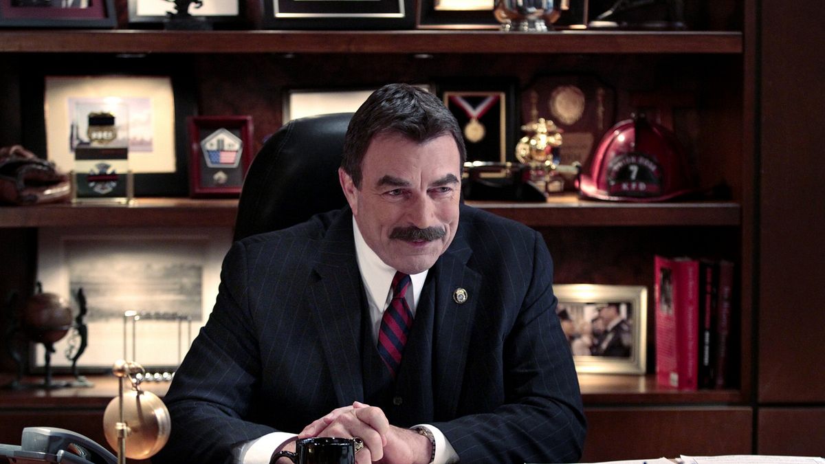 blue bloods - crime scene new york