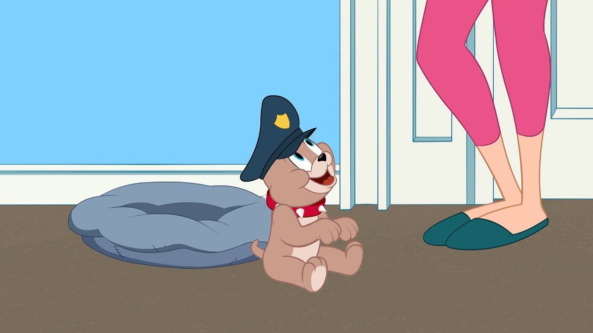 die tom und jerry show
