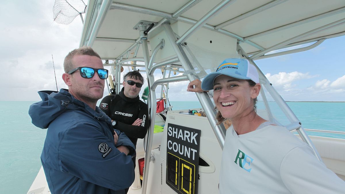 sharks of ghost island - haie im bermudadreieck