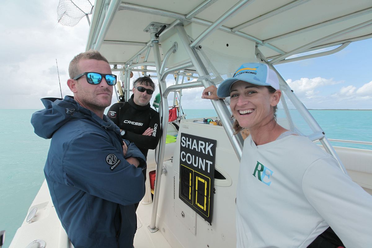 Sharks of Ghost Island - Haie im Bermudadreieck sharks of ghost island - haie im bermudadreieck