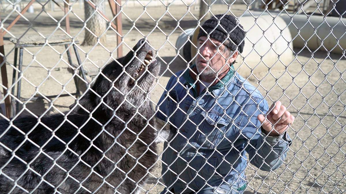 bitte nicht streicheln - wilde haustiere