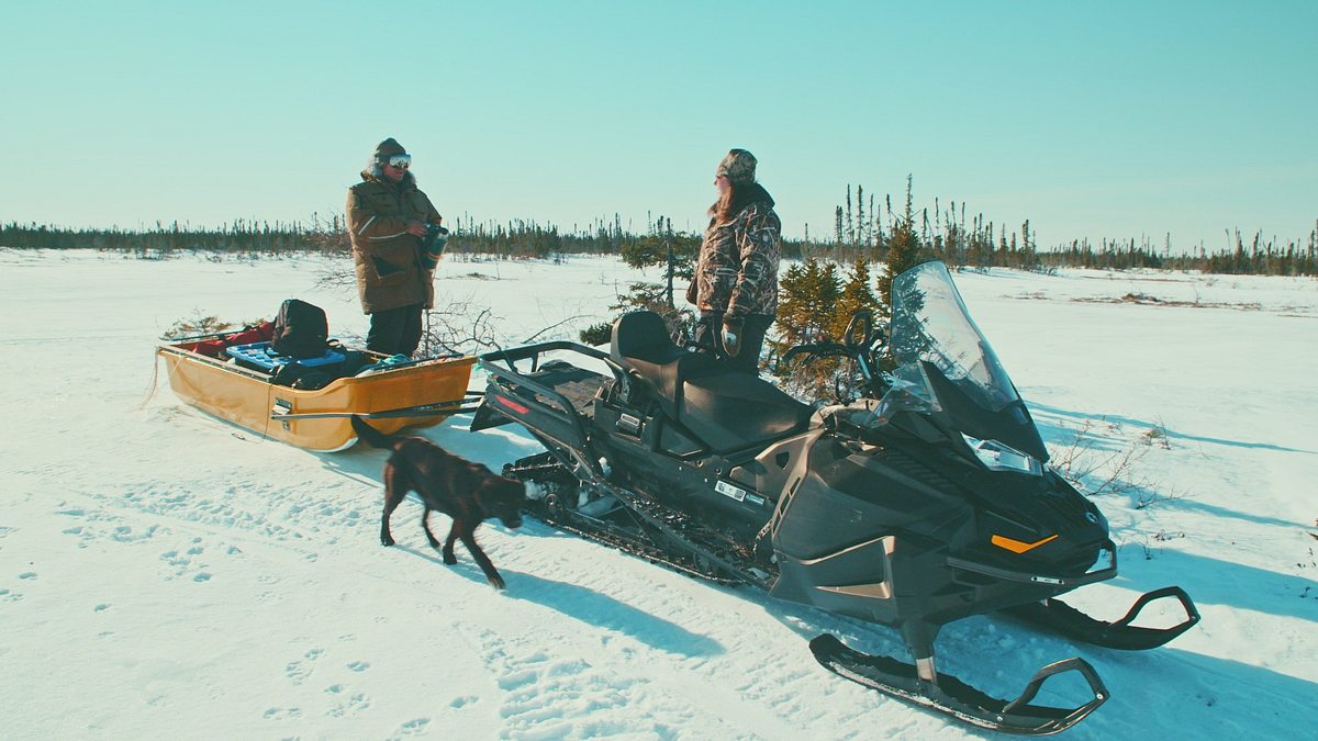 Northwoods Survival: Überleben in Kanadas Wildnis northwoods survival: überleben in kanadas wildnis