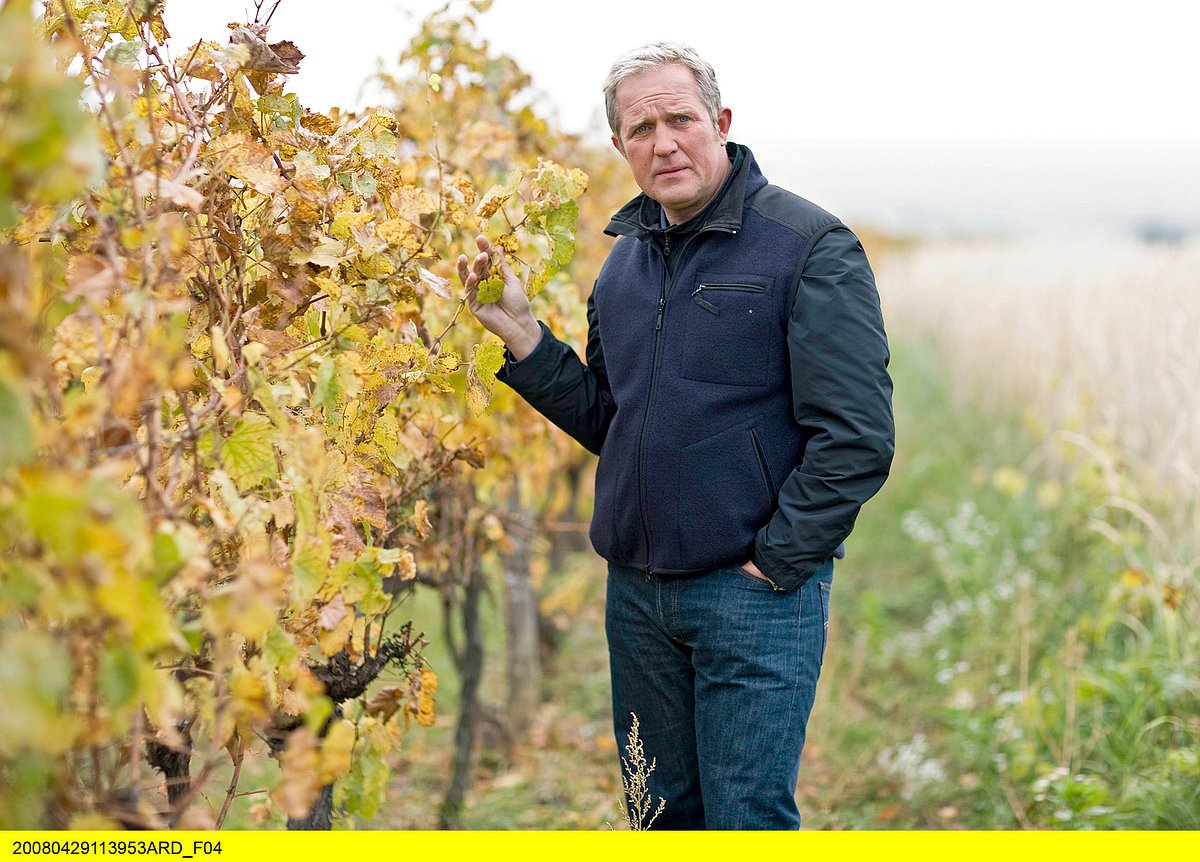 Der Winzerkönig der winzerkönig
