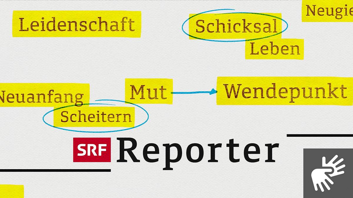 Reporter reporter