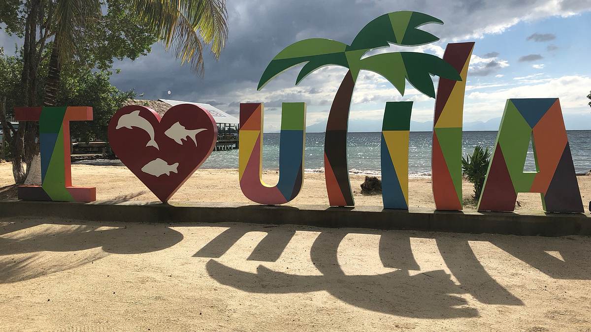 caribbean life - haus im paradies gesucht
