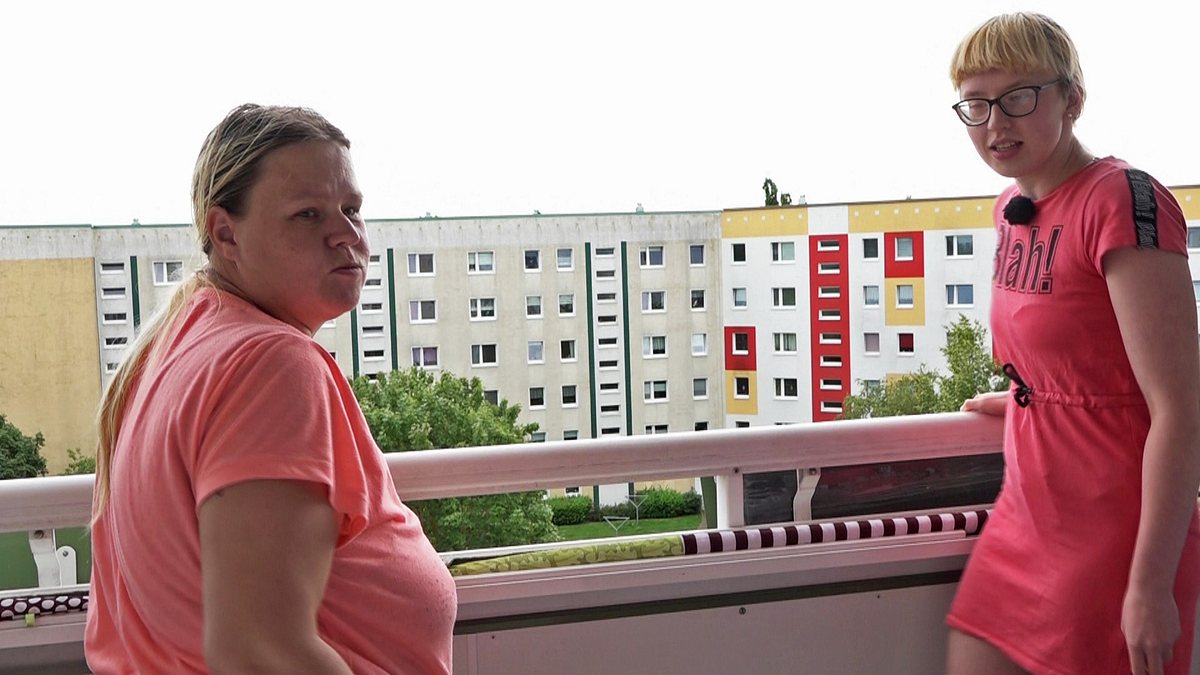 hartz und herzlich - tag für tag rostock